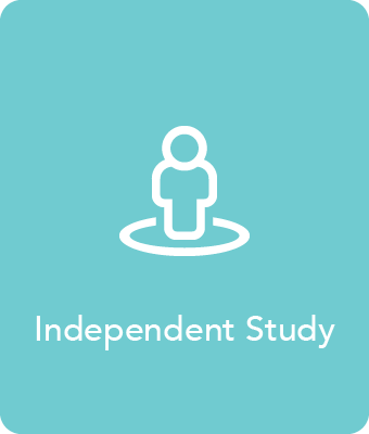 Independent Study